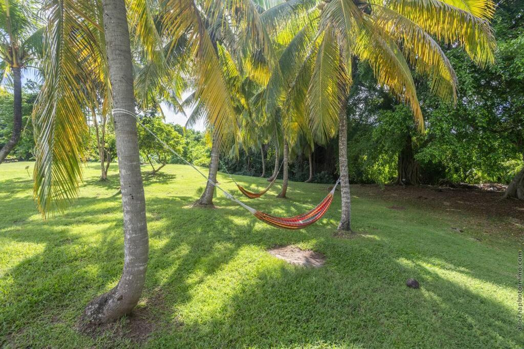 Suite Tropicale Village Vacances Сент-Люс Екстер'єр фото